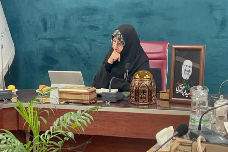 تشکیل شورای هماهنگی مقابله با آسیب‌های اجتماعی زنان